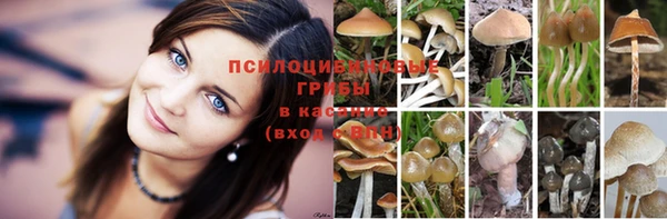 мяу мяу кристалл Алзамай