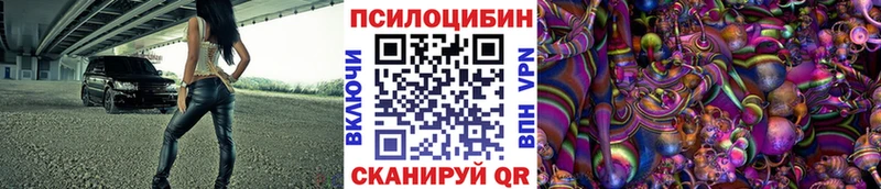 Псилоцибиновые грибы Psilocybe  Ардатов 
